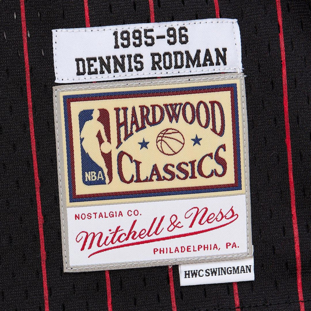 Dennis Rodman Chicago Bulls Youth 1995/96 Swingman Jersey - Black