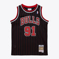 Dennis Rodman Chicago Bulls Youth 1995/96 Swingman Jersey - Black
