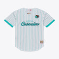 Memphis Grizzlies Mitchell & Ness Head Coach Pinstripe Mesh Full-Button Baseball Jersey - White