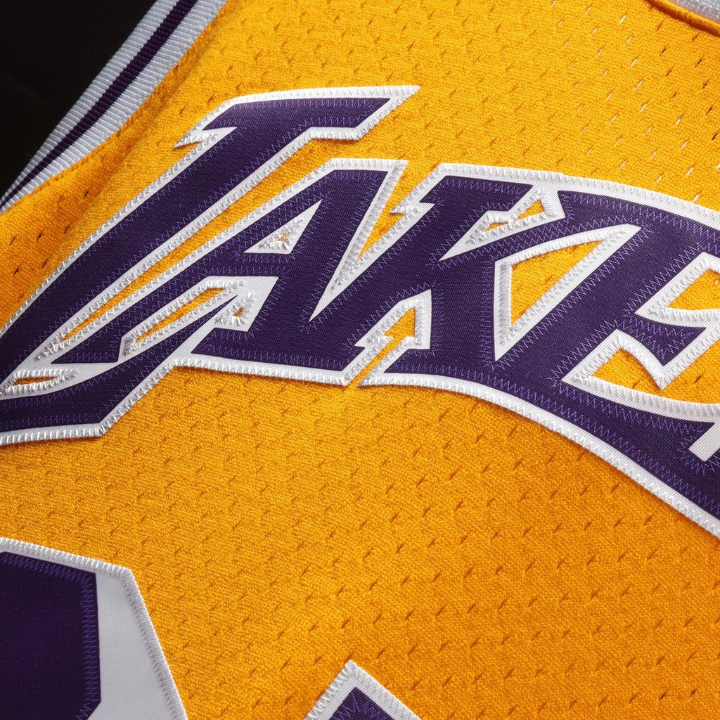 Magic Johnson Los Angeles Lakers Mitchell & Ness 1984/85 Hardwood Classics Swingman Jersey - Purple