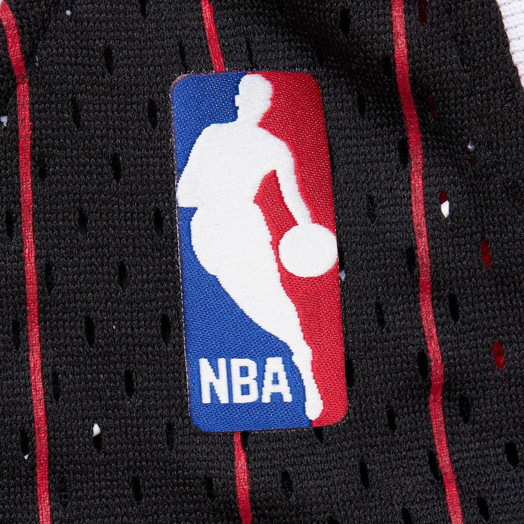 Dennis Rodman Chicago Bulls Youth 1995/96 Swingman Jersey - Black